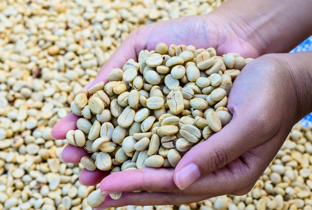 Why Our Coffee Prices Changed (And Why It Matters)