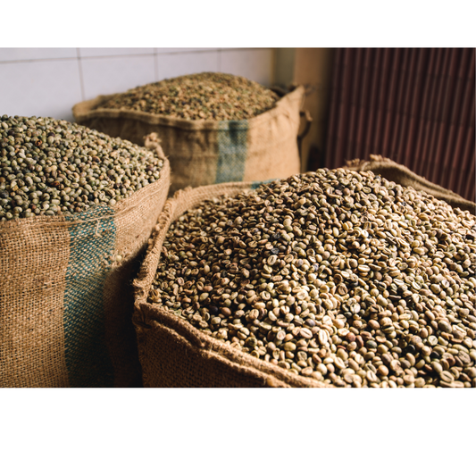 Is There Mold in Coffee? The Truth Behind the Hype.